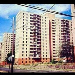 Meet your Posher, Ida